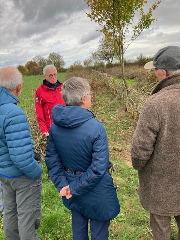 wandeling door de maasheggen